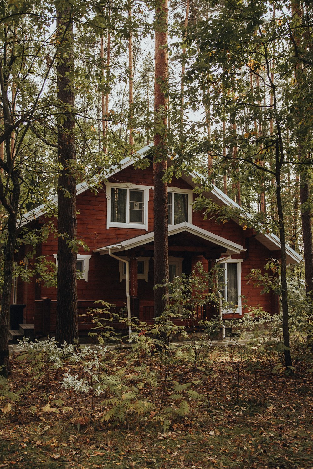 brown wooden house surrounded by trees during daytime