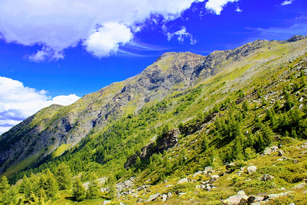 green mountains under blue sky during daytime