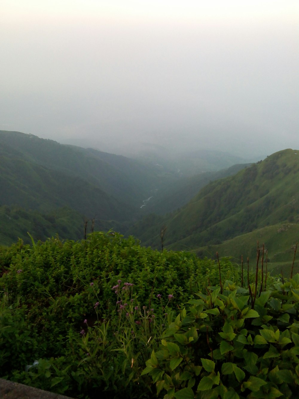 green mountains under white sky during daytime