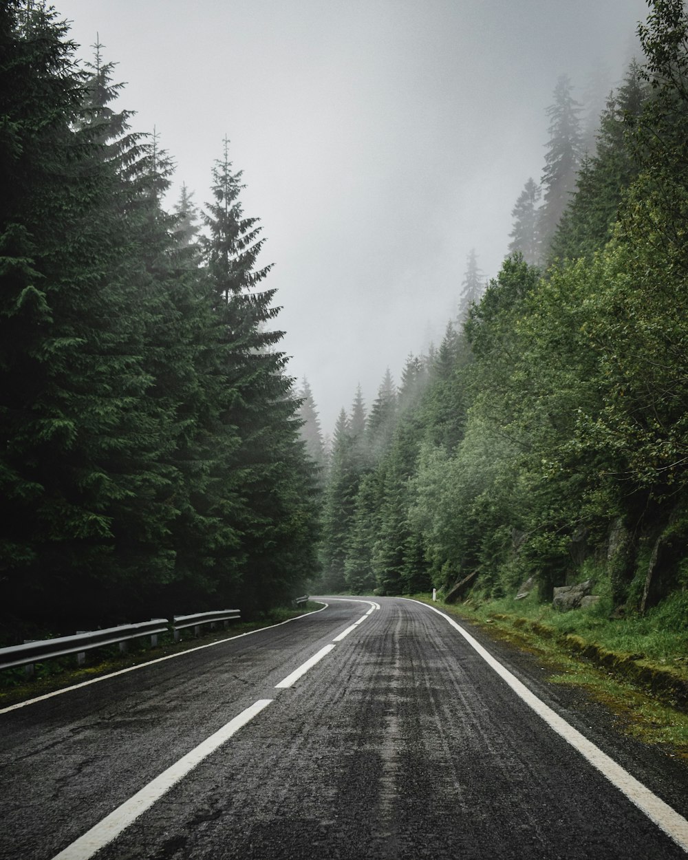 gray concrete road between green trees