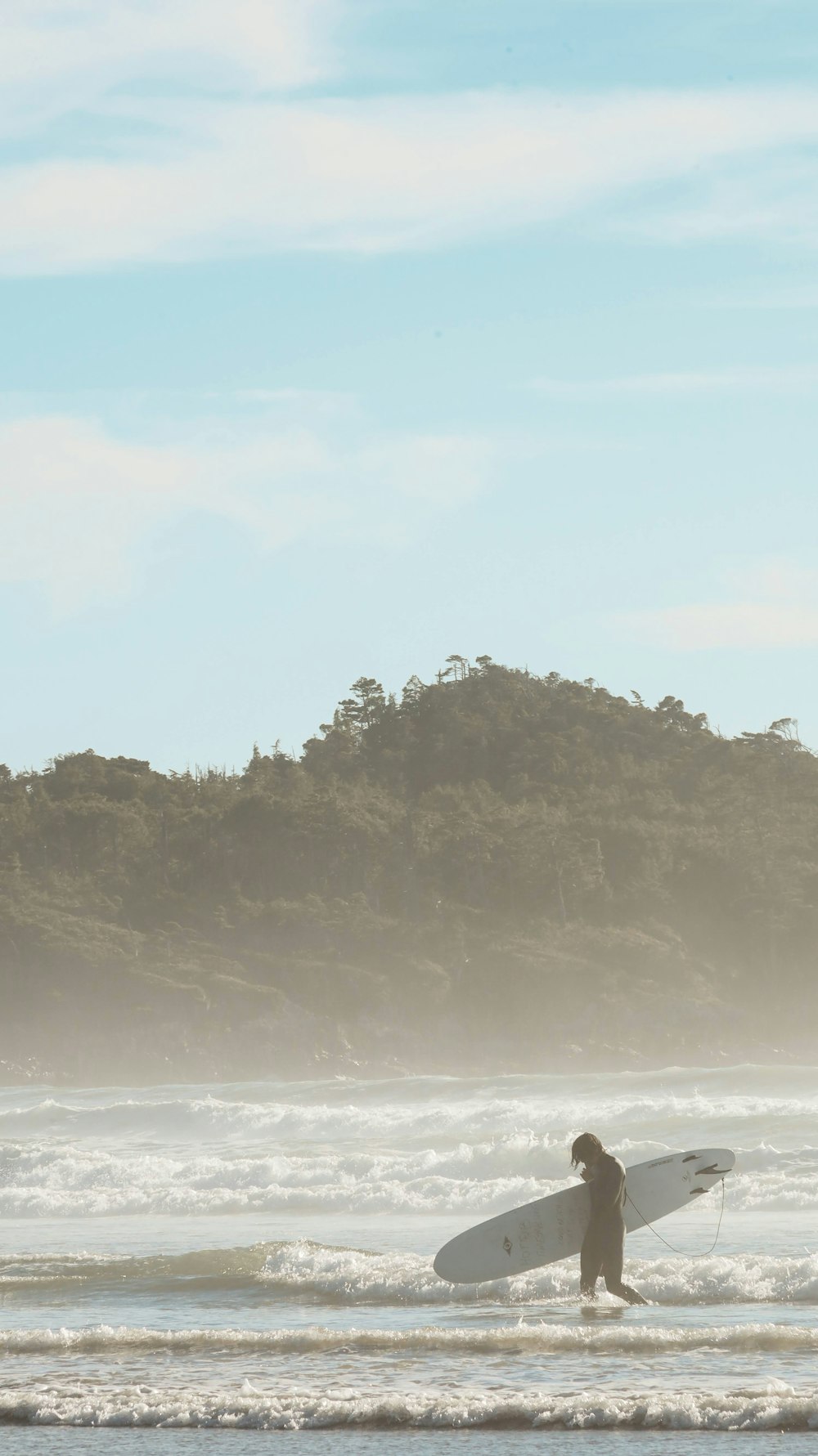 green trees on brown sand beach during daytime