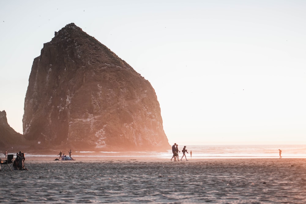 people on beach during daytime