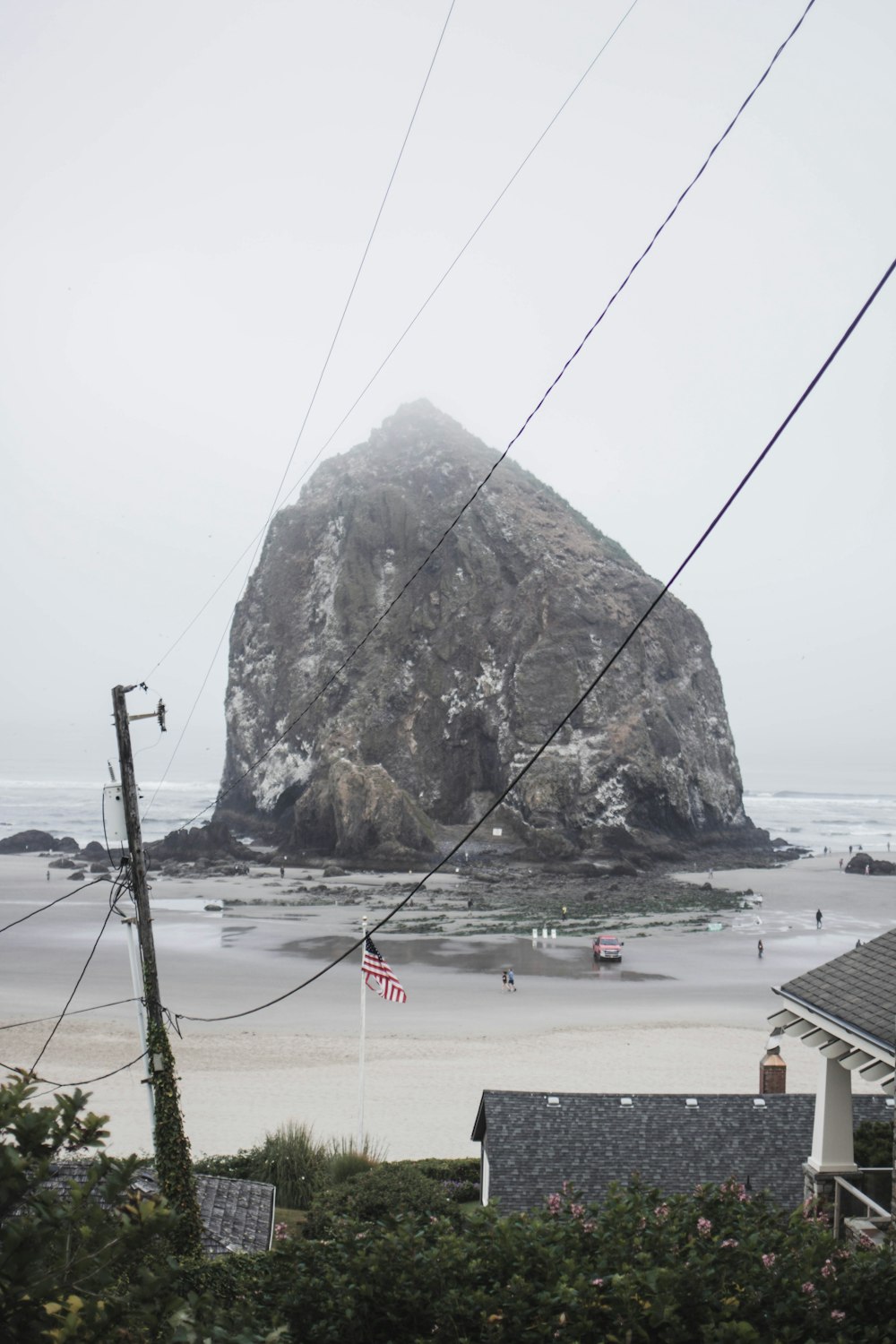 people on beach during daytime