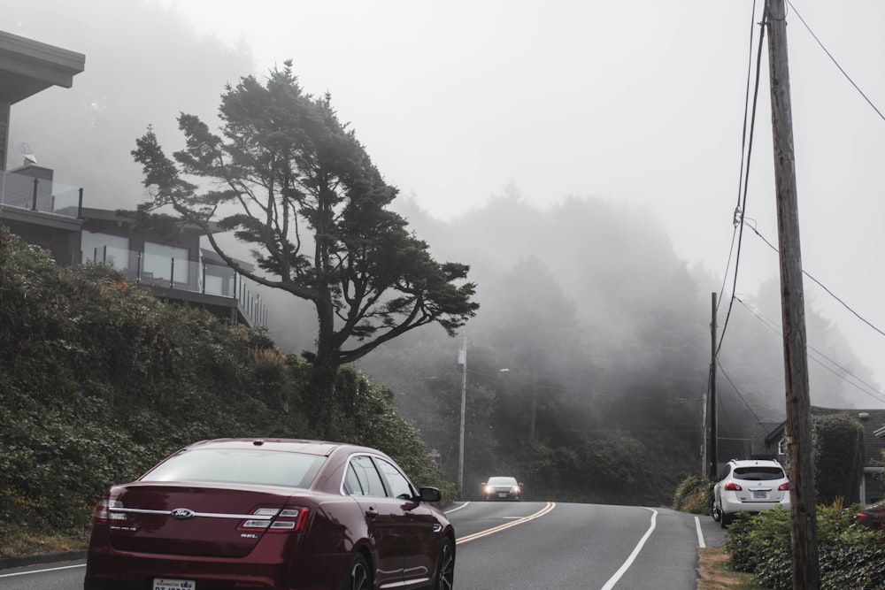 Auto su strada durante la nebbia