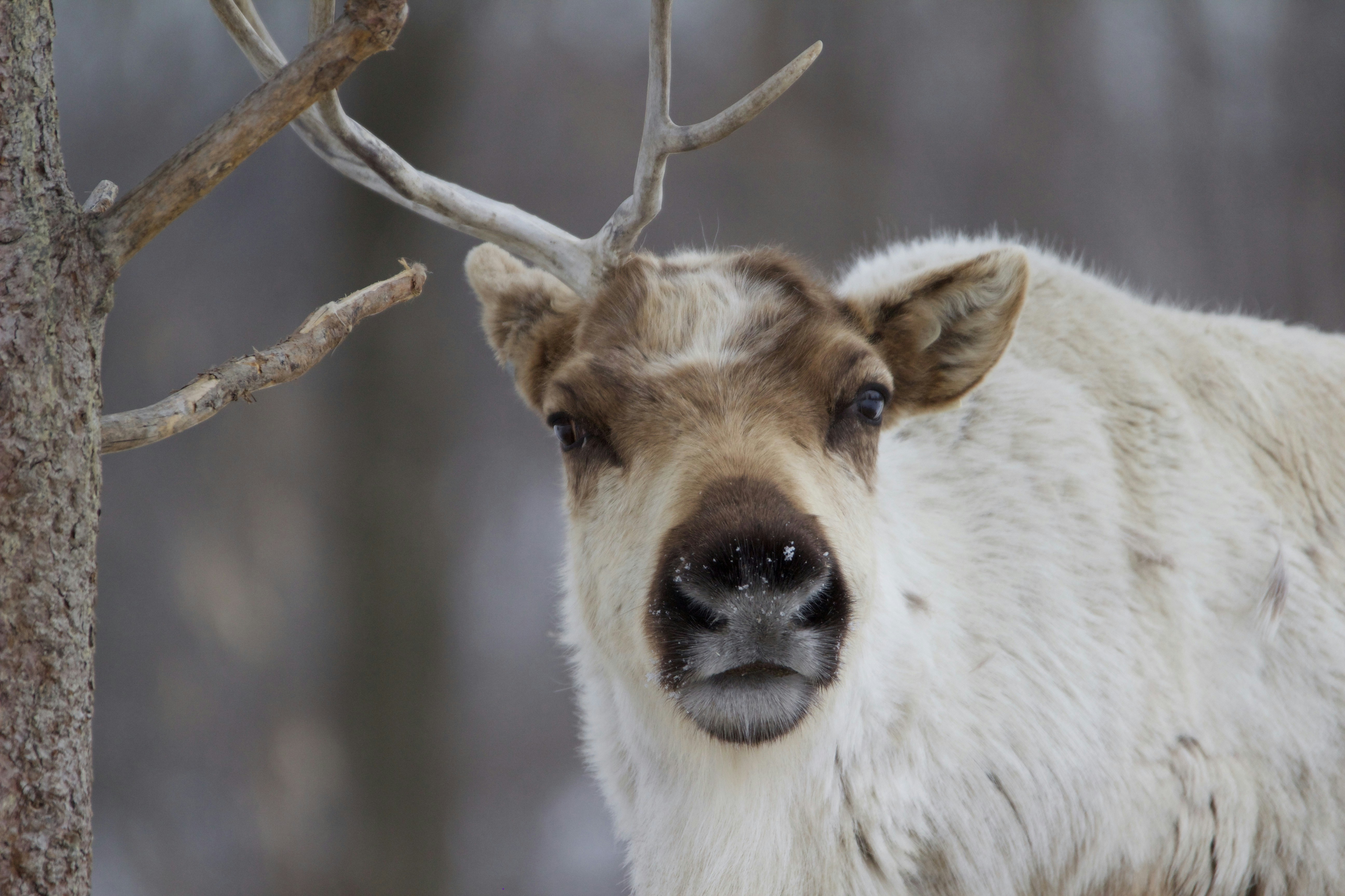 Photo by hellotonytheturtle