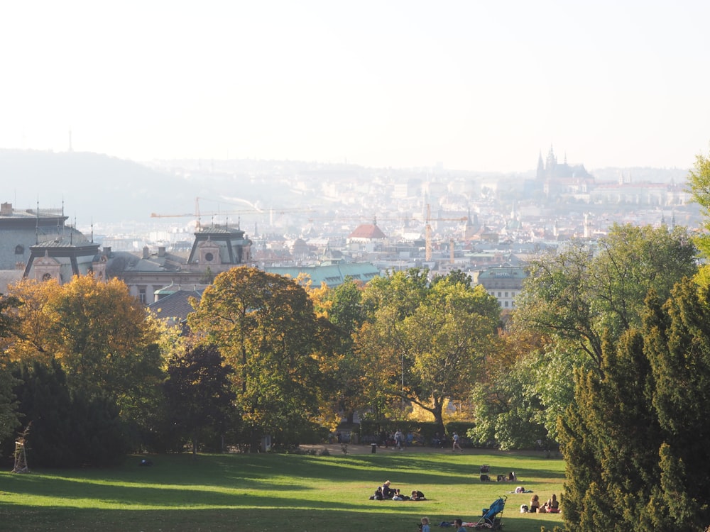 green grass field with trees and buildings in distance