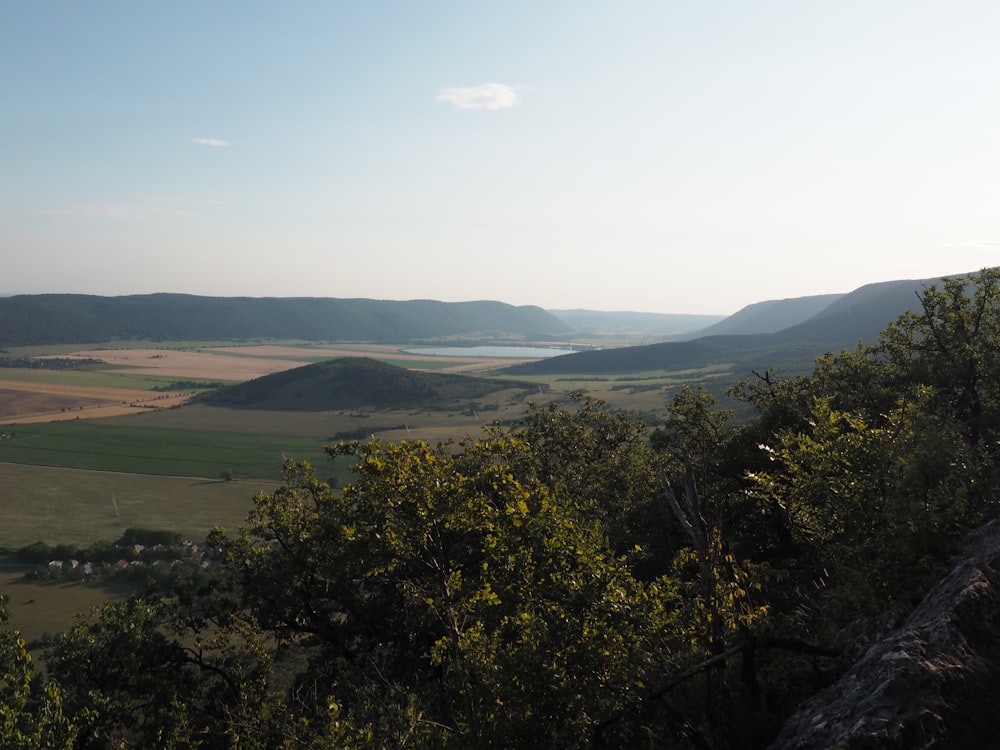 Grüne Bäume am Berg tagsüber