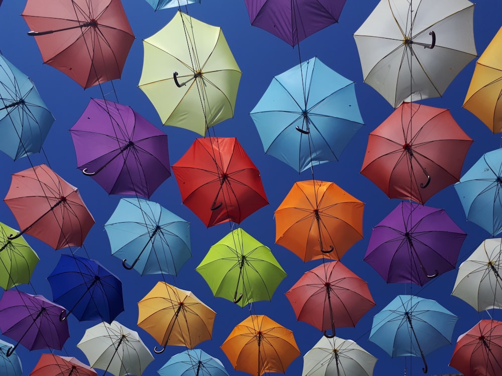 orange blue and red umbrella