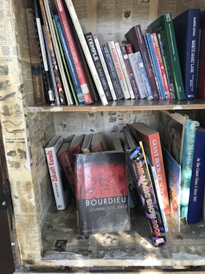 A collection of books arranged on a wooden bookshelf, with some books standing upright and others leaning or stacked. The shelves are lined with vintage-style newspaper clippings. A prominent book titled 'Bourdieu: Journalistic Field' is leaning forward, drawing attention with its distinct red and black cover.