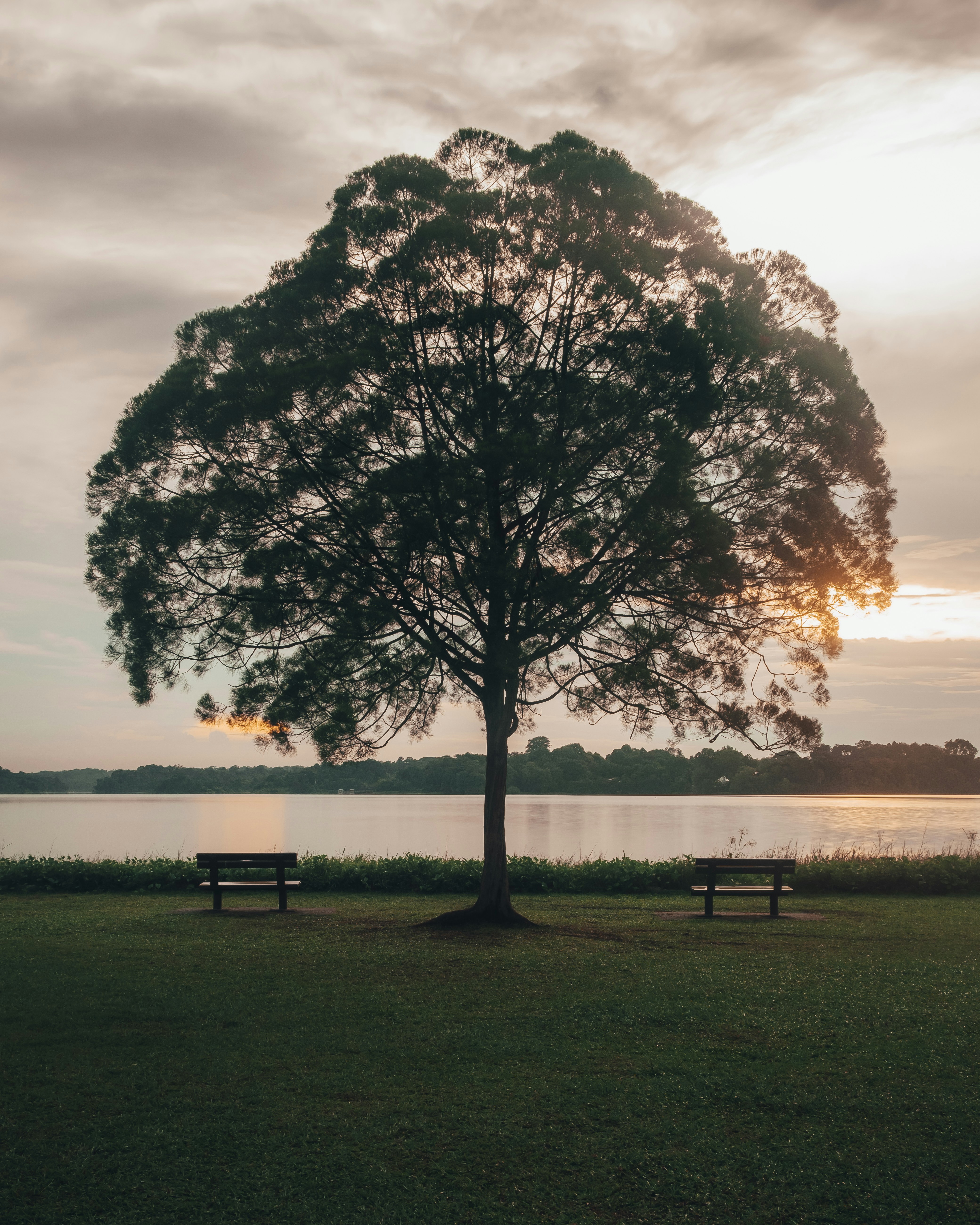 Photo by jackjackhan