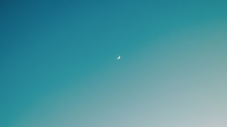airplane in the sky during daytime