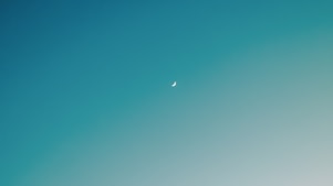 airplane in the sky during daytime