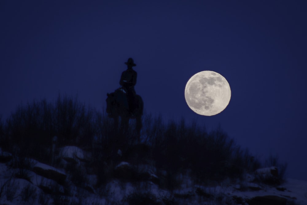silhouette dell'uomo in piedi sotto la luna piena