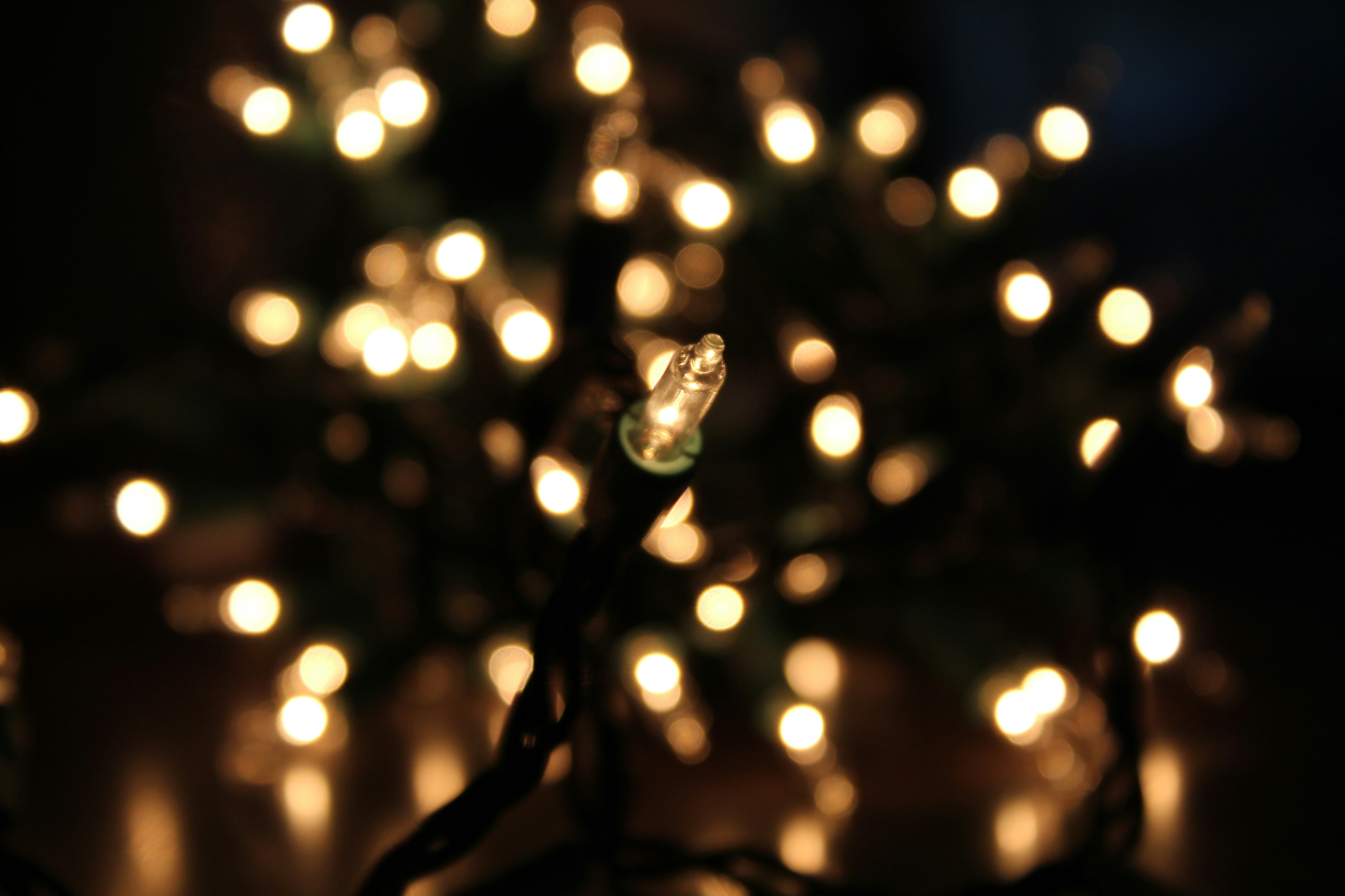 Photo by nova_brodhead