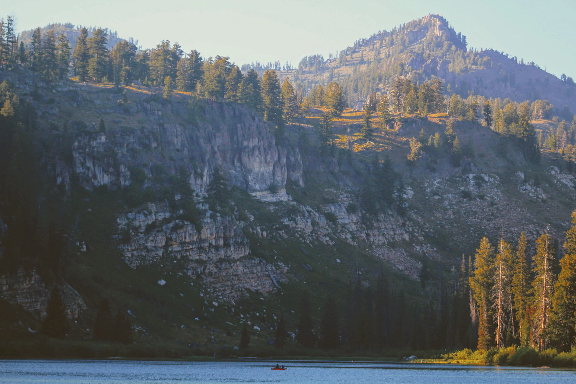 A group of adventurers paddling kayaks across the shimmering waters of Lake Superior, framed by dense, towering pine forests.