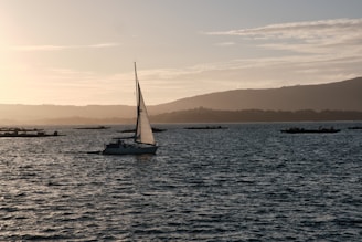 A sleek trimaran boat with hybrid sails and solar panels gliding near a calm coastline at sunset.