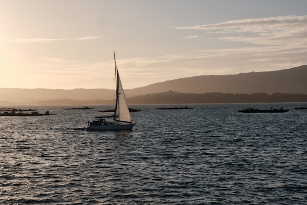 A sleek trimaran boat with hybrid sails and solar panels gliding near a calm coastline at sunset.