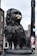 A detailed statue of a small dog with curly fur is situated in an urban area. The sculpture has a dark, bronze-like texture and the dog stands in a noble pose. In the background, there are buildings and a tall black post with a poster attached.
