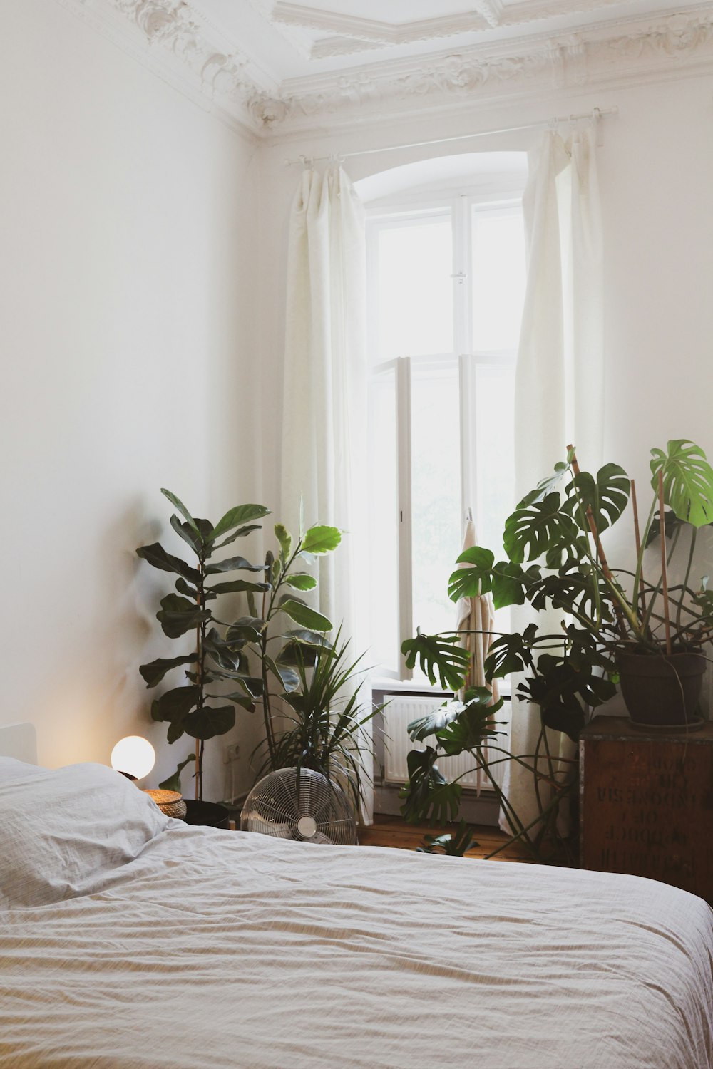 ベッドの近くの緑の鉢植え