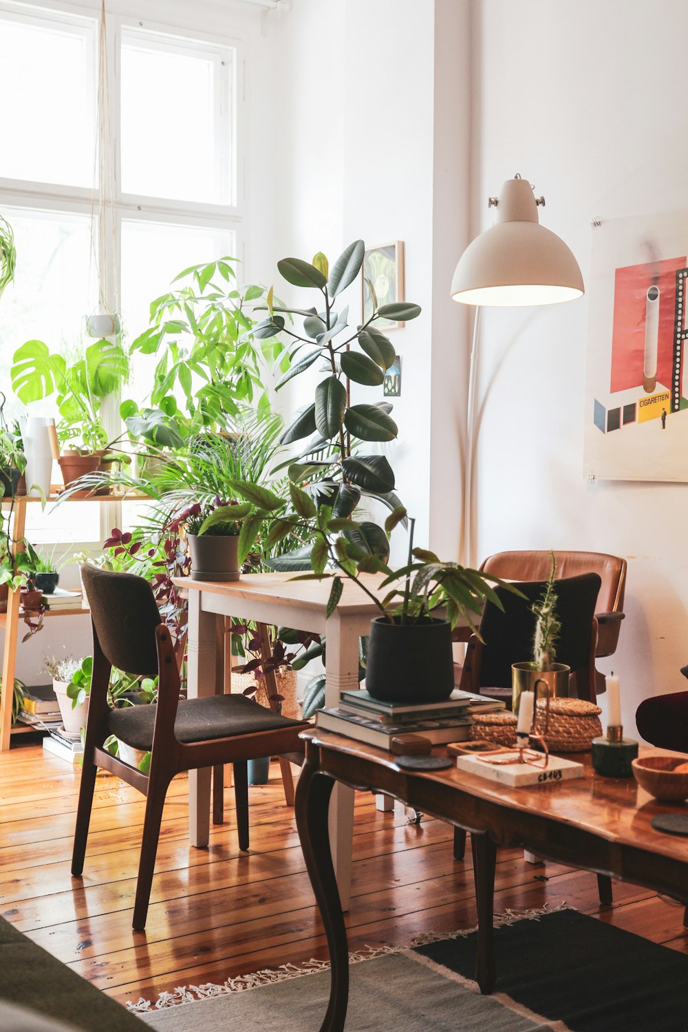 green potted plant on brown wooden table