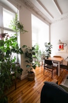 A bright, modern room with green tropical plants and natural light streaming through large windows.