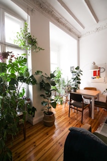 A bright and airy room featuring large windows and houseplants.