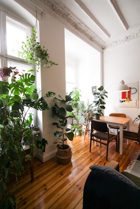 Cozy modern waiting room with natural light and tropical plants