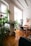 A clean, bright living room with sunlight streaming through large windows and fresh plants.