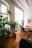 A clean, bright living room with sunlight streaming through large windows and fresh plants.