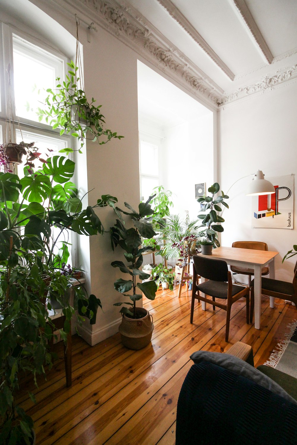 green potted plant on brown wooden table