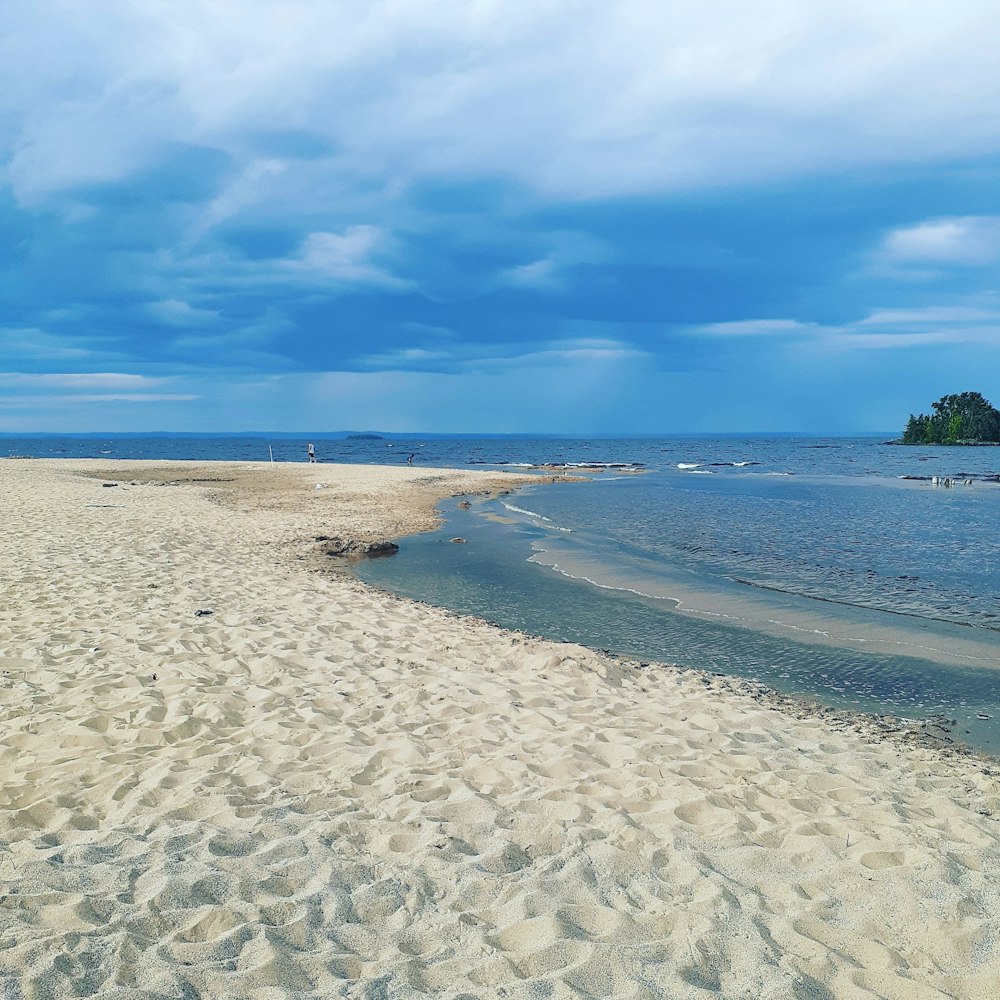 green trees on brown sand beach under blue sky during daytime