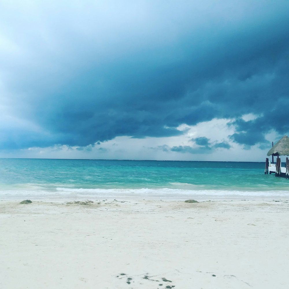 white wooden beach house on beach during daytime