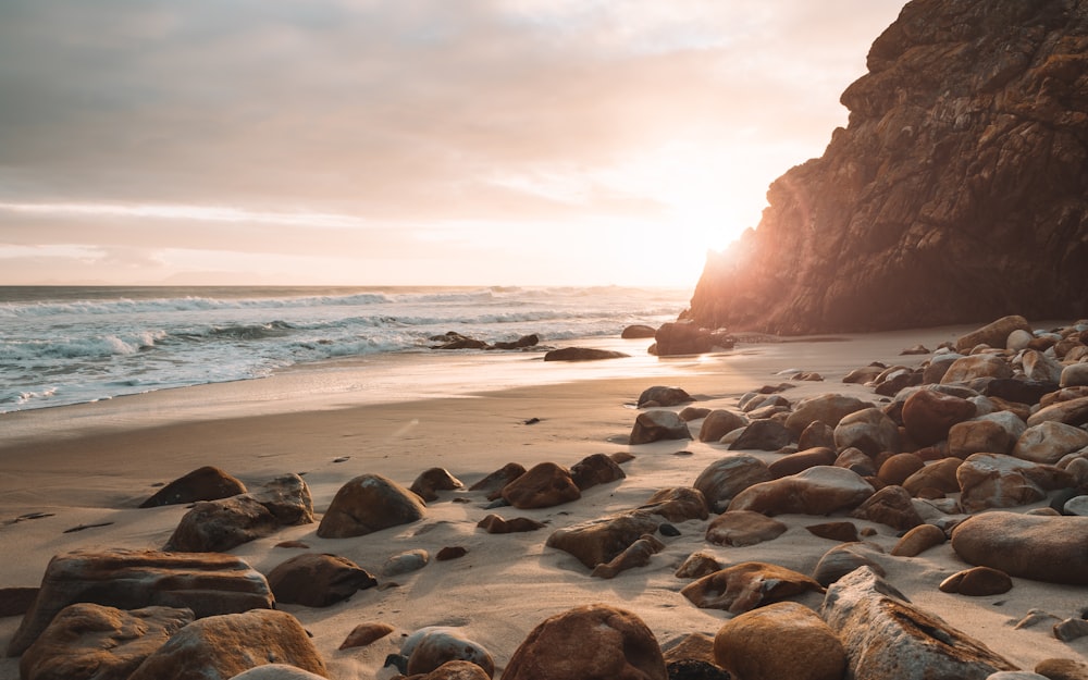 brown rocky shore near body of water during daytime