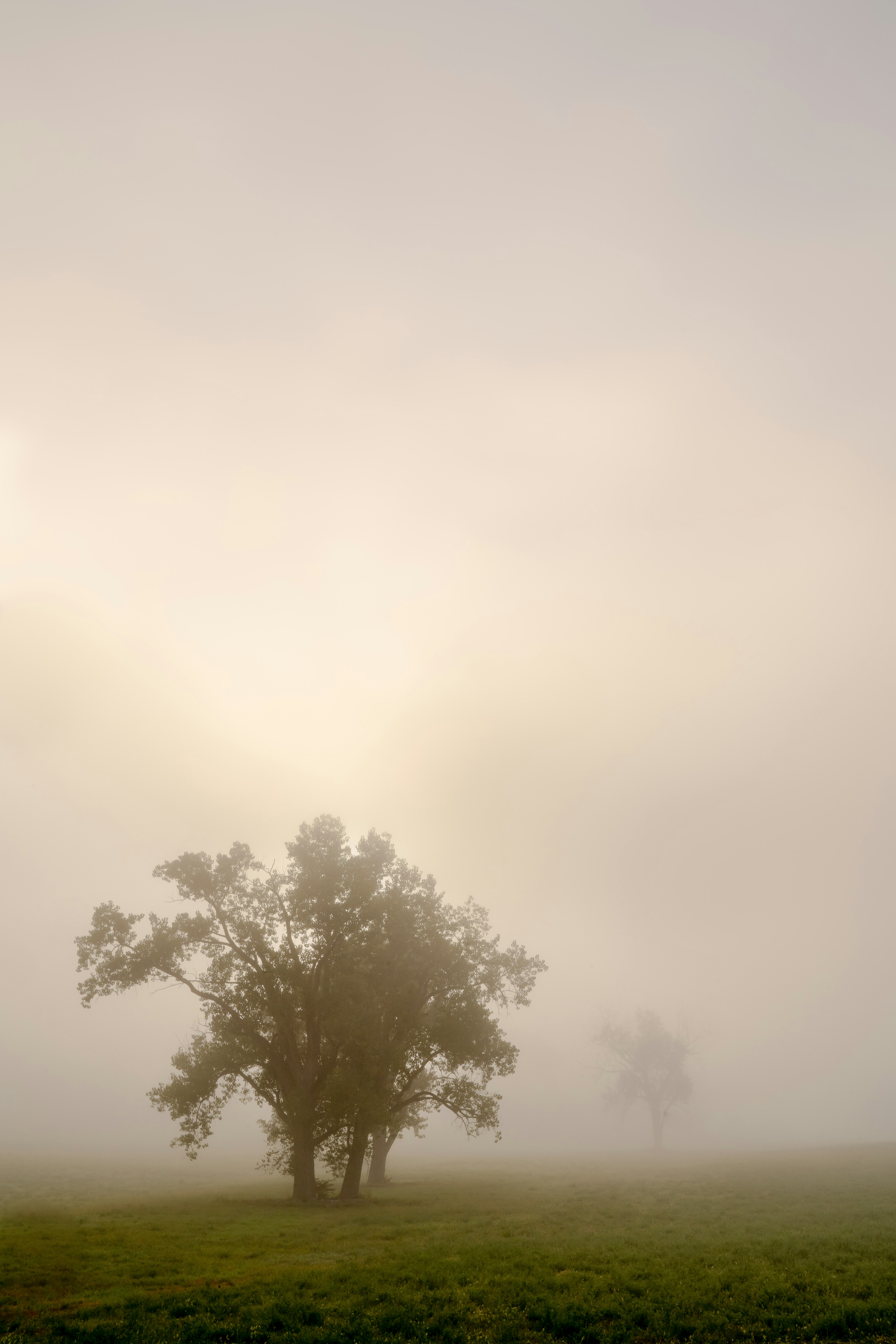 Photo by timumphreys