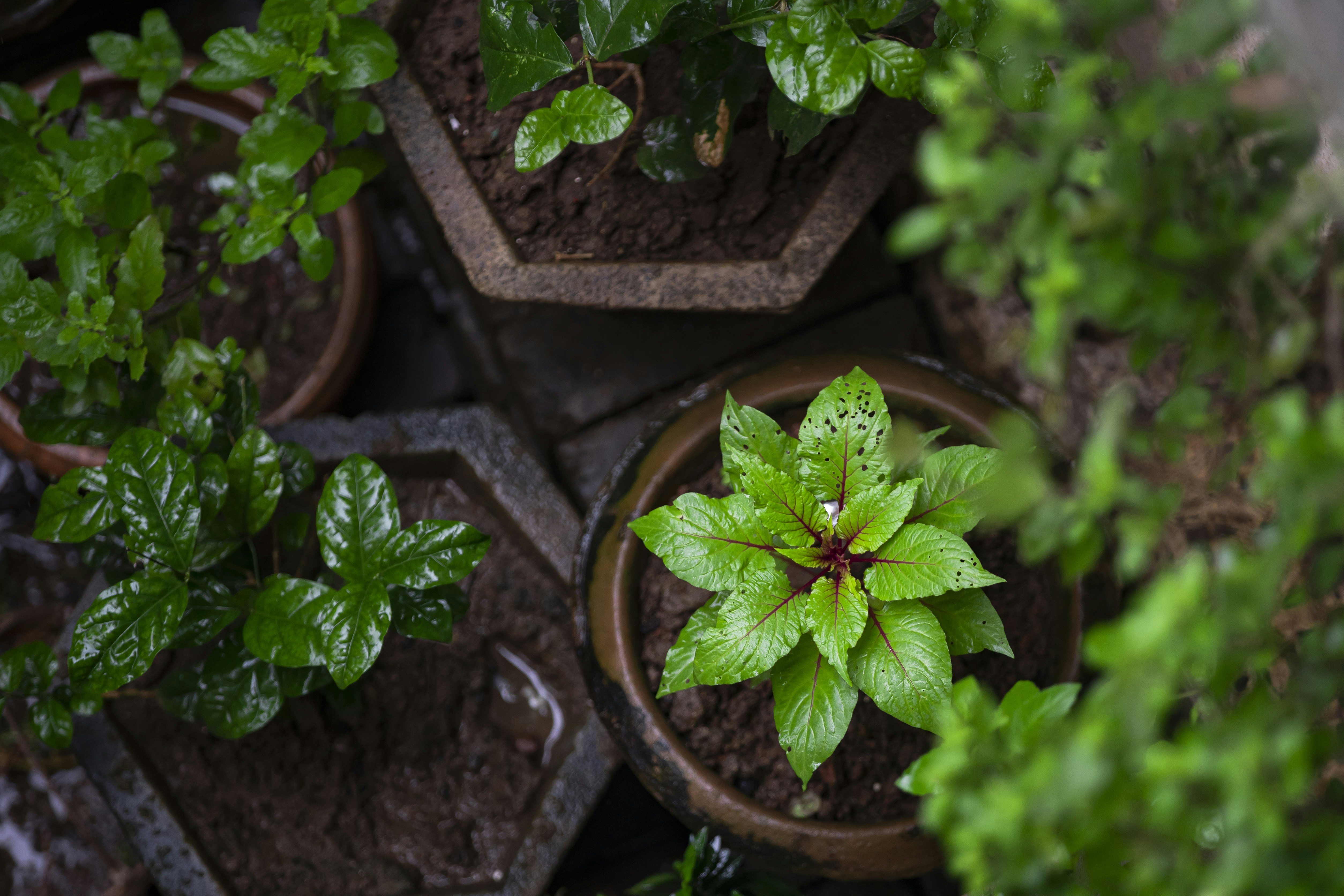 Photo by peejayvisual