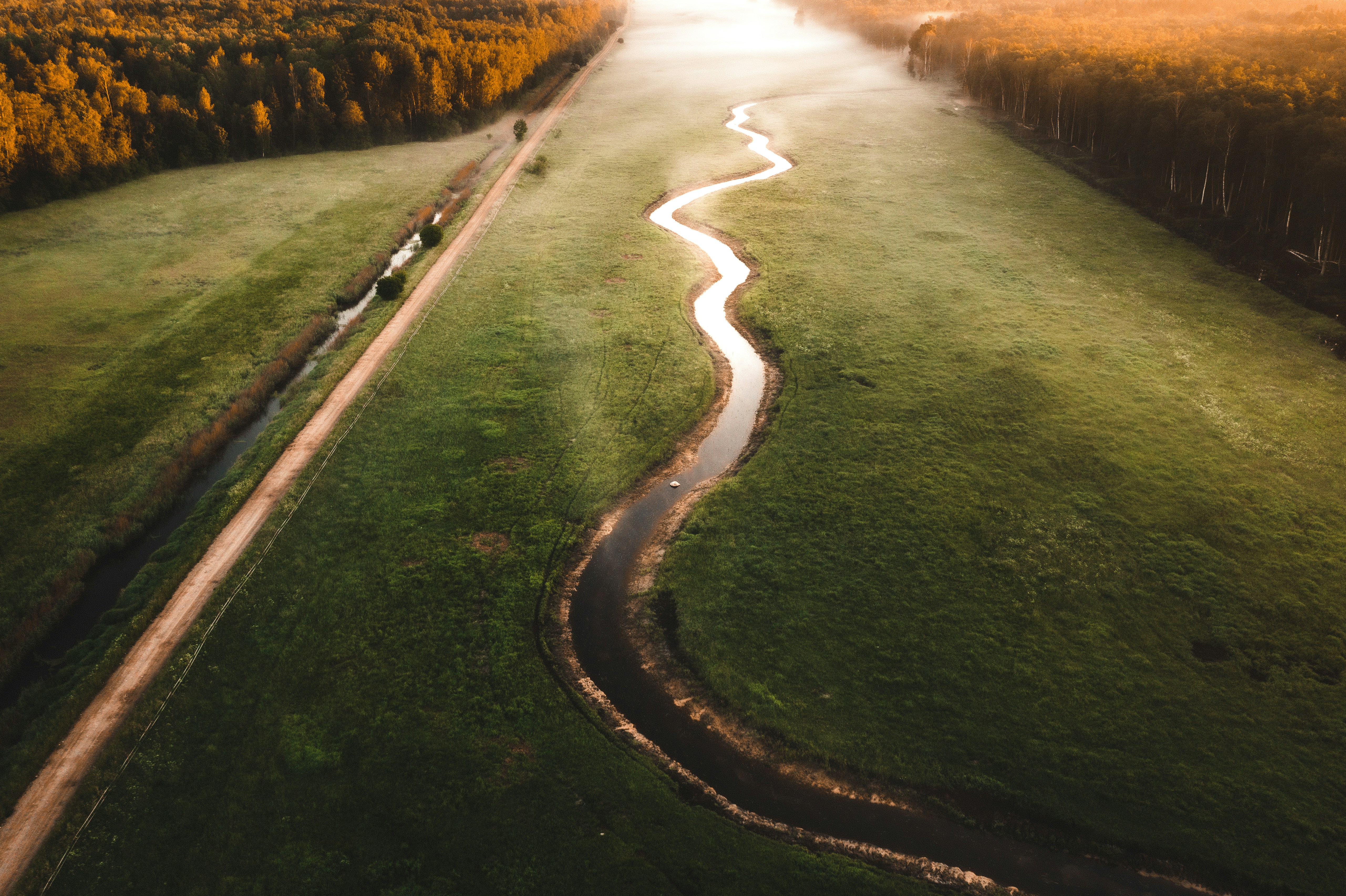 green grass field du