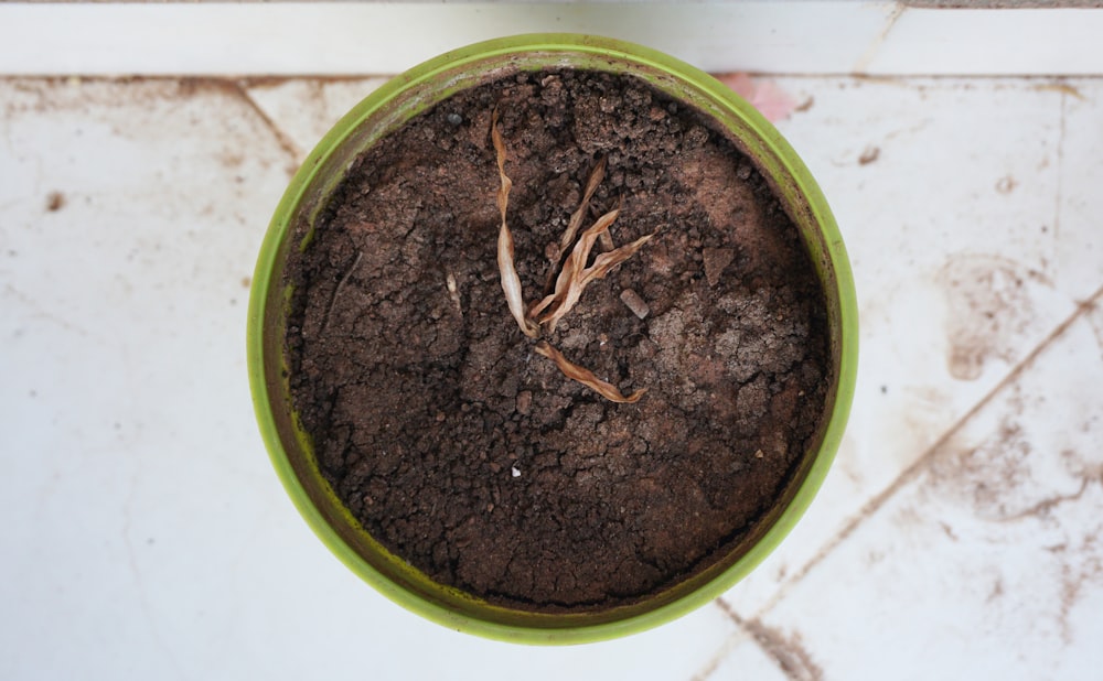 brown powder on green round container