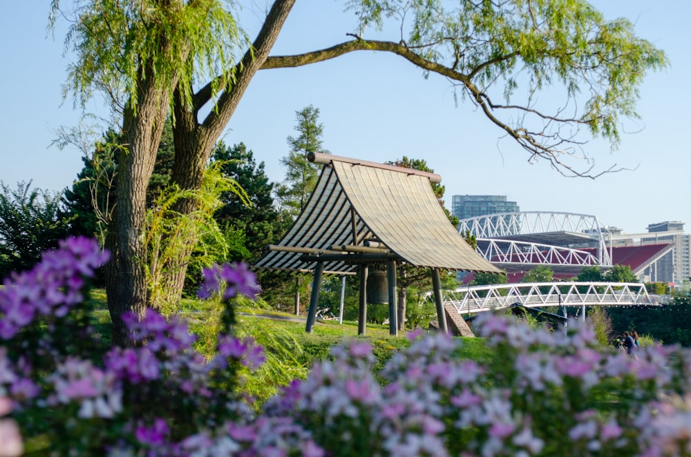 brown wooden house surrounded by purple flowers and green plants