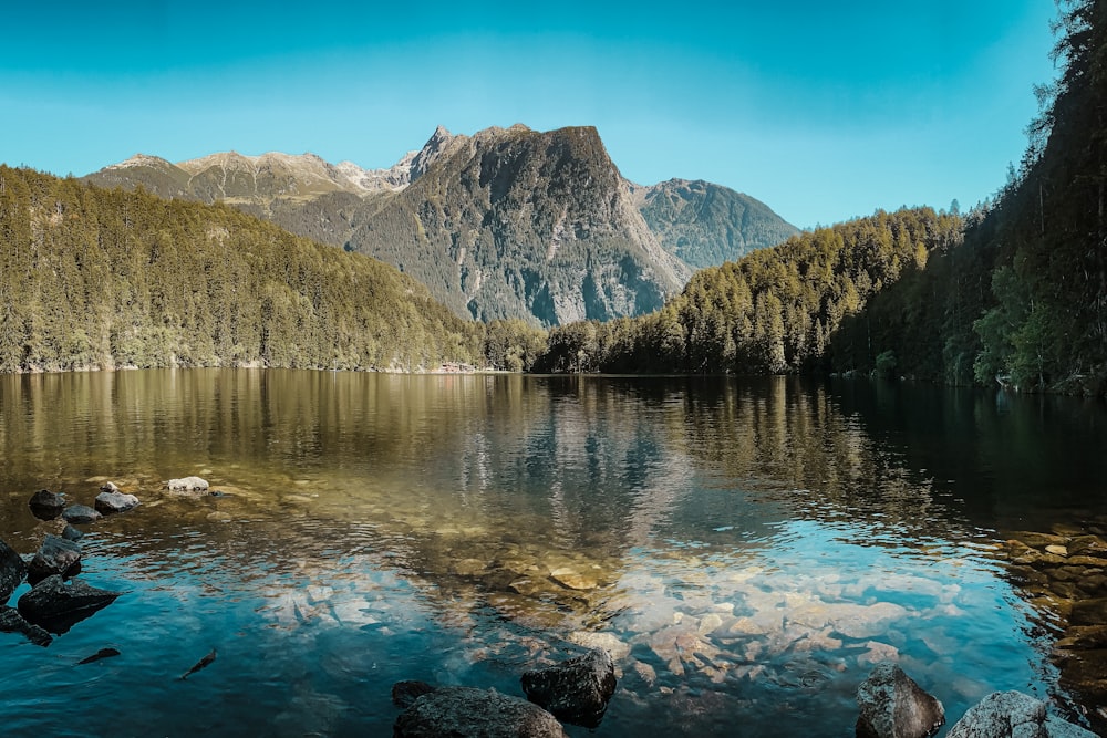 alberi verdi vicino al lago e alla montagna sotto il cielo blu durante il giorno