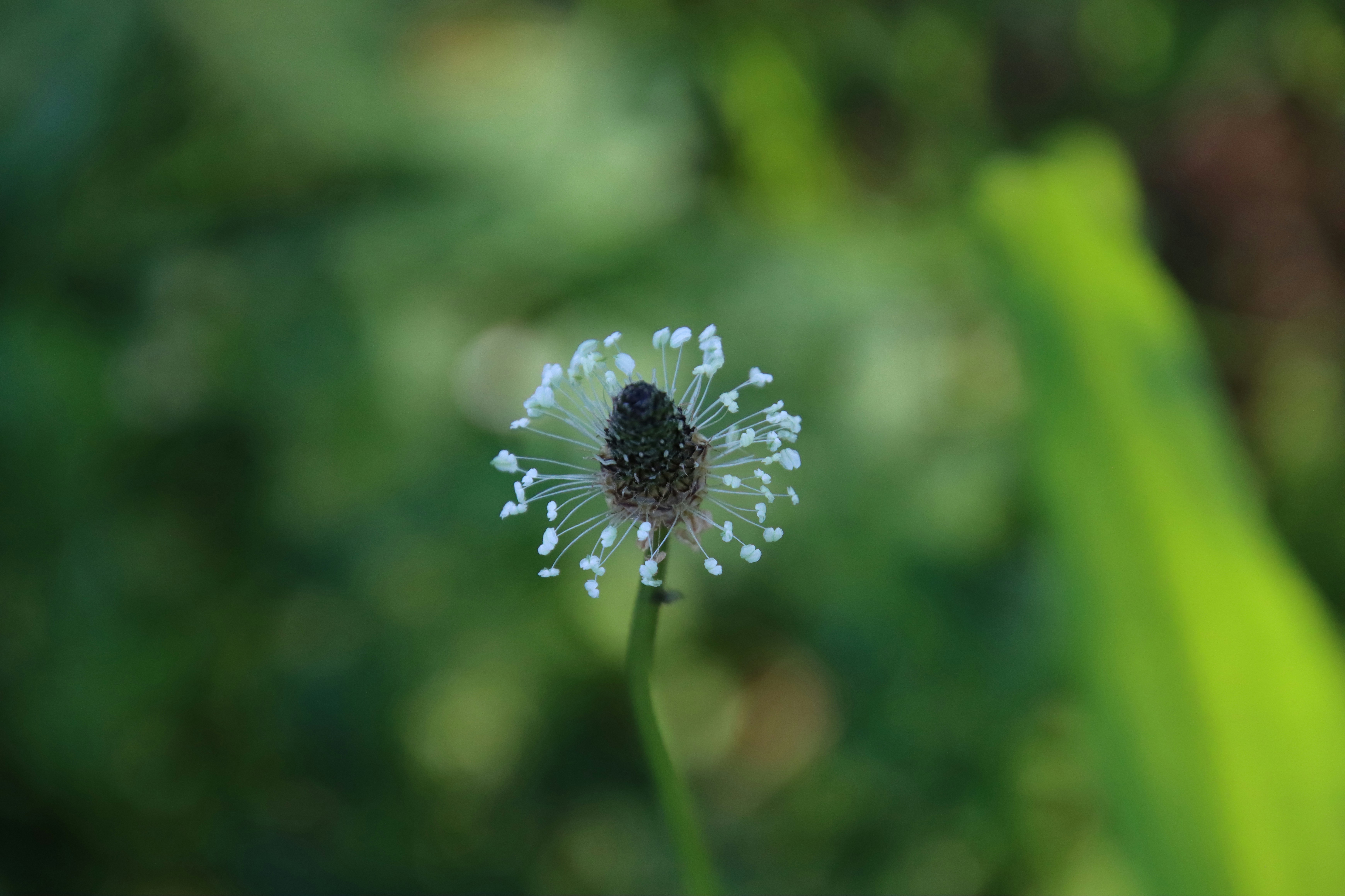 Photo by photasticlab