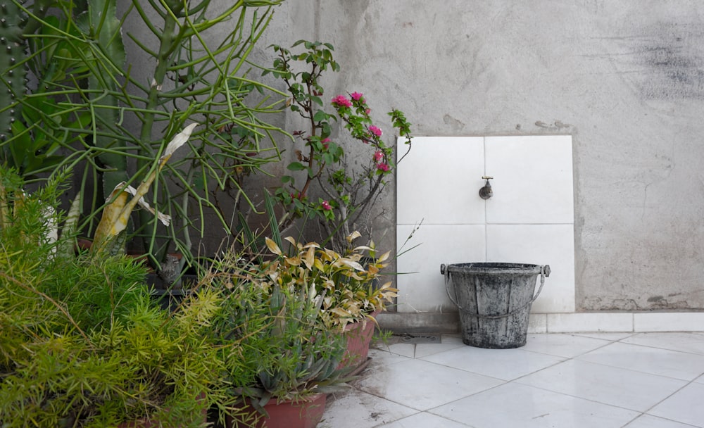 red flowers in gray pot