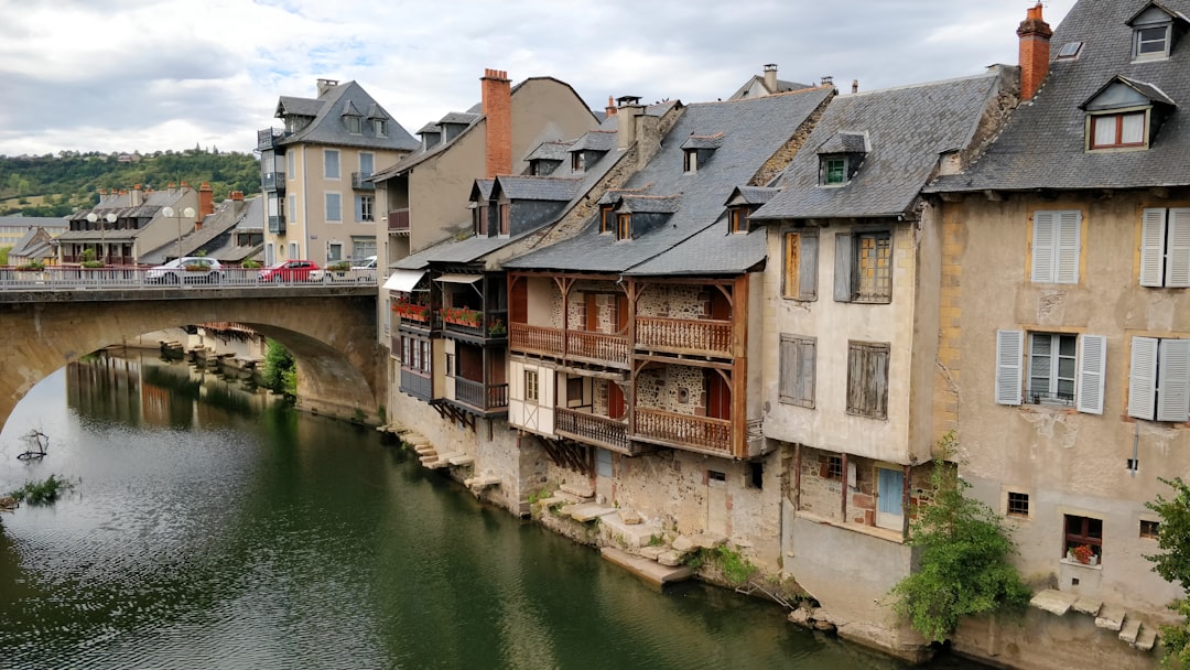 Travel Tips and Stories of Pont-Vieux in France