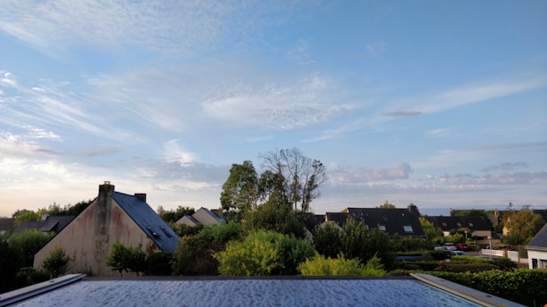 A peaceful community housing area at Dixie Cooperative, showing homes surrounded by greenery under a clear sky.