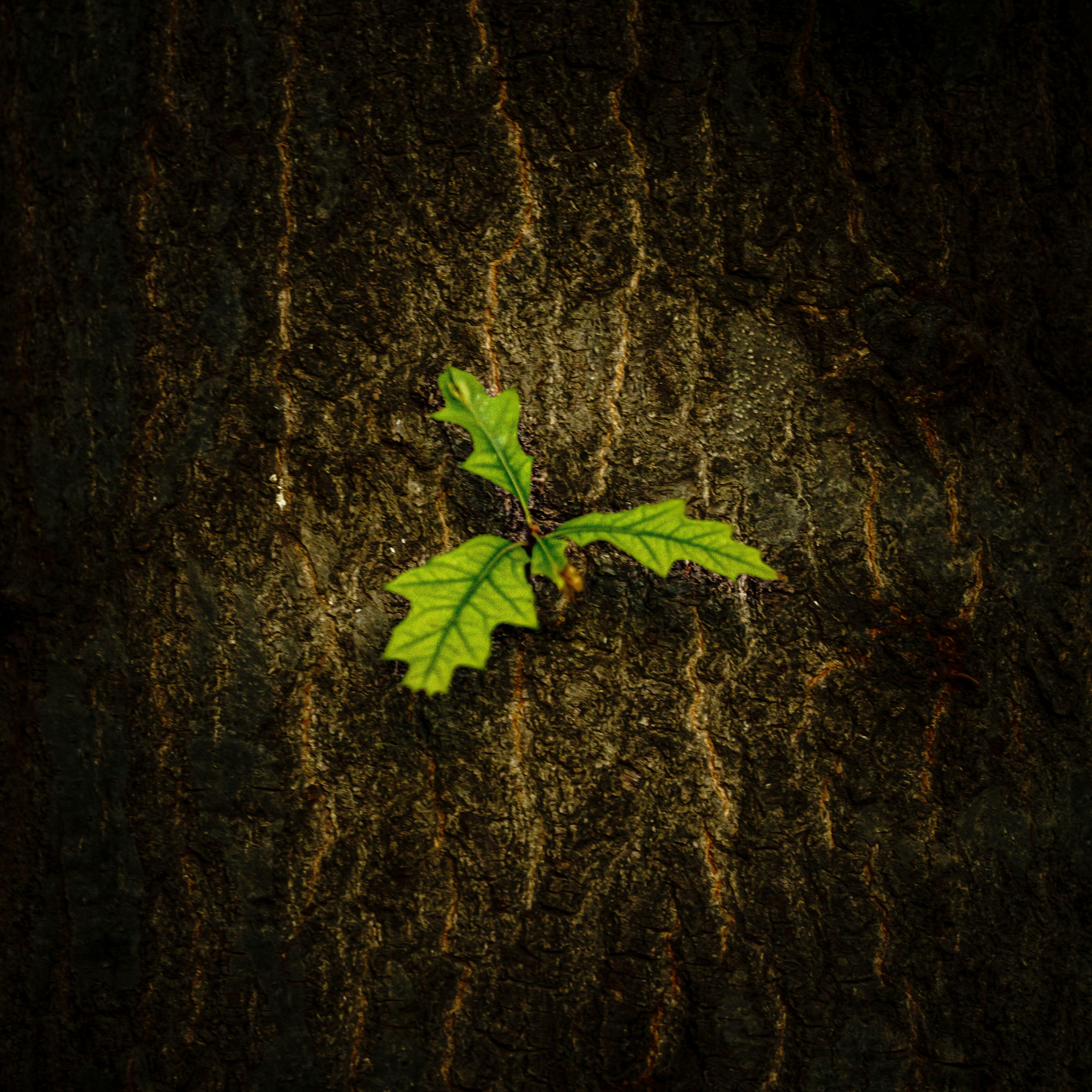 Photo by itworkonline