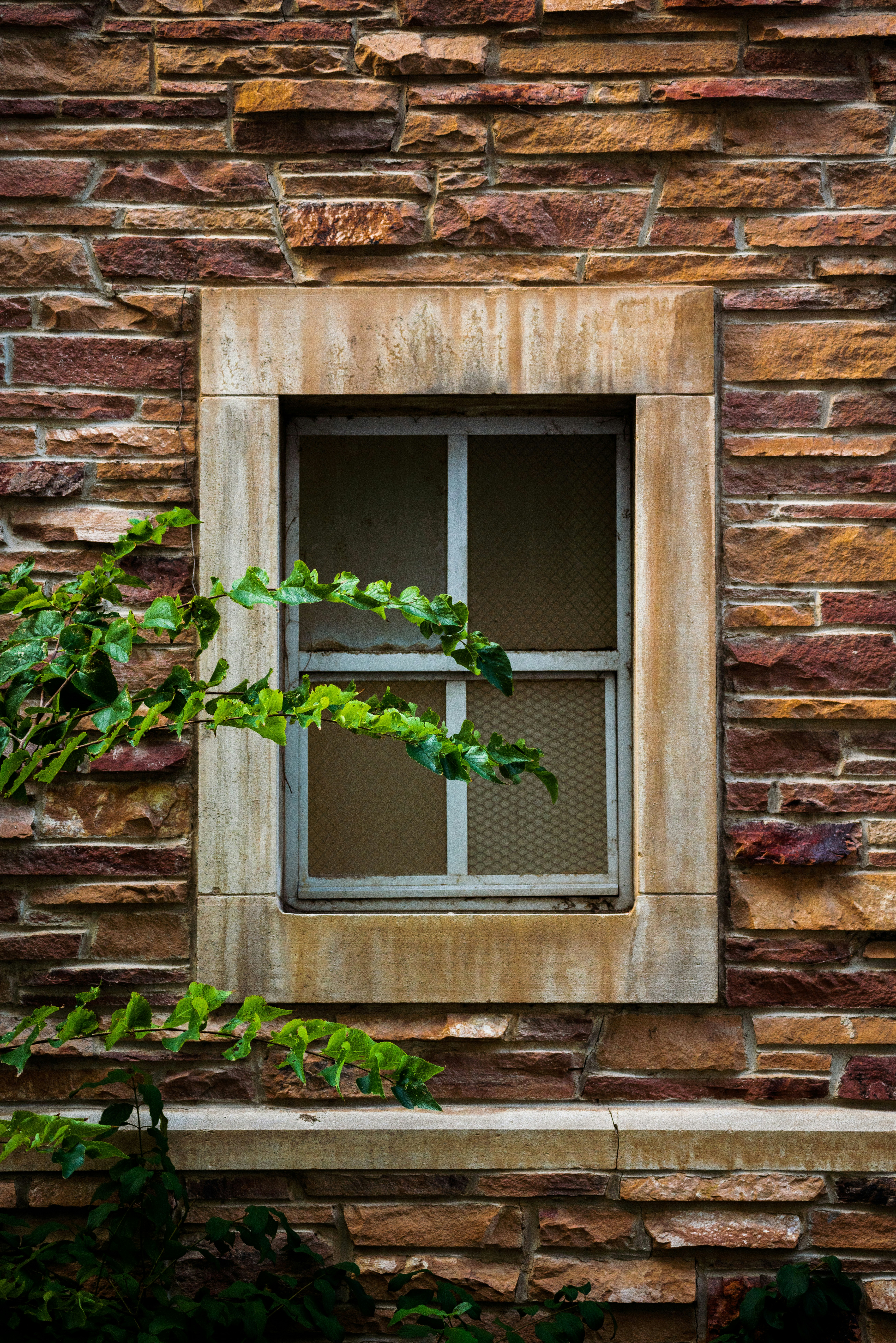 Photo by itworkonline