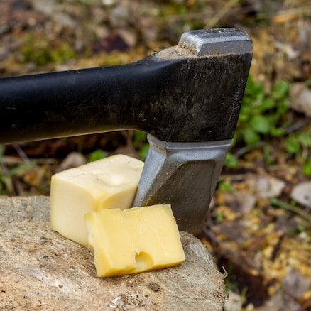 An axe is embedded in a block of wood with two pieces of cheese nearby. The scene suggests an unconventional pairing of outdoor tools and food. The setting appears to be outdoors with blurred foliage in the background.