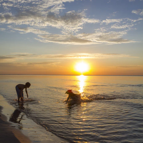 A serene beach scene with a family playing in the shallow waves at golden hour.