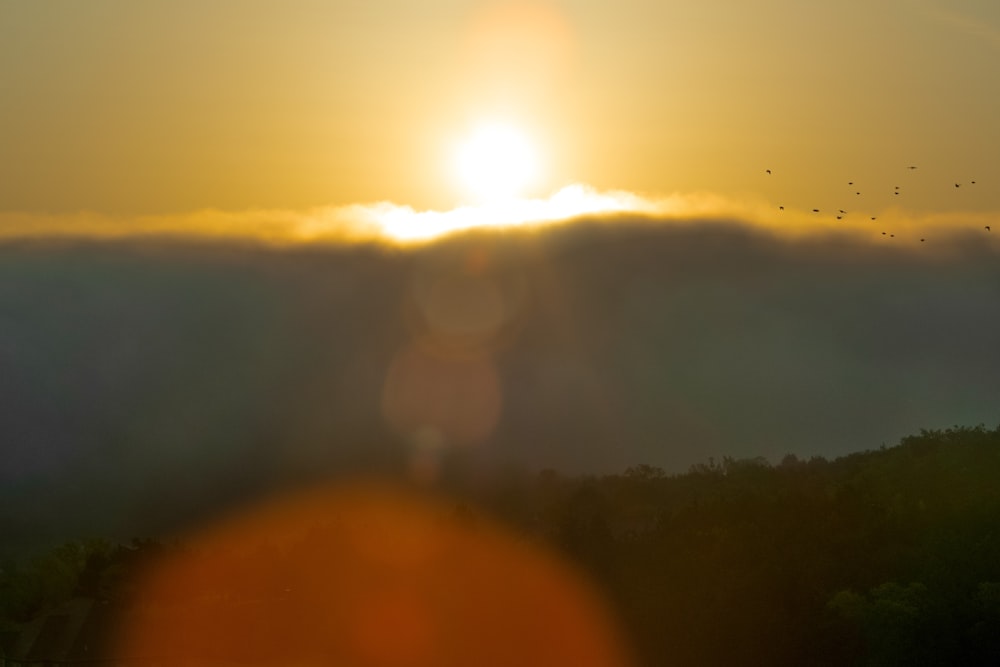 sun behind green trees during daytime