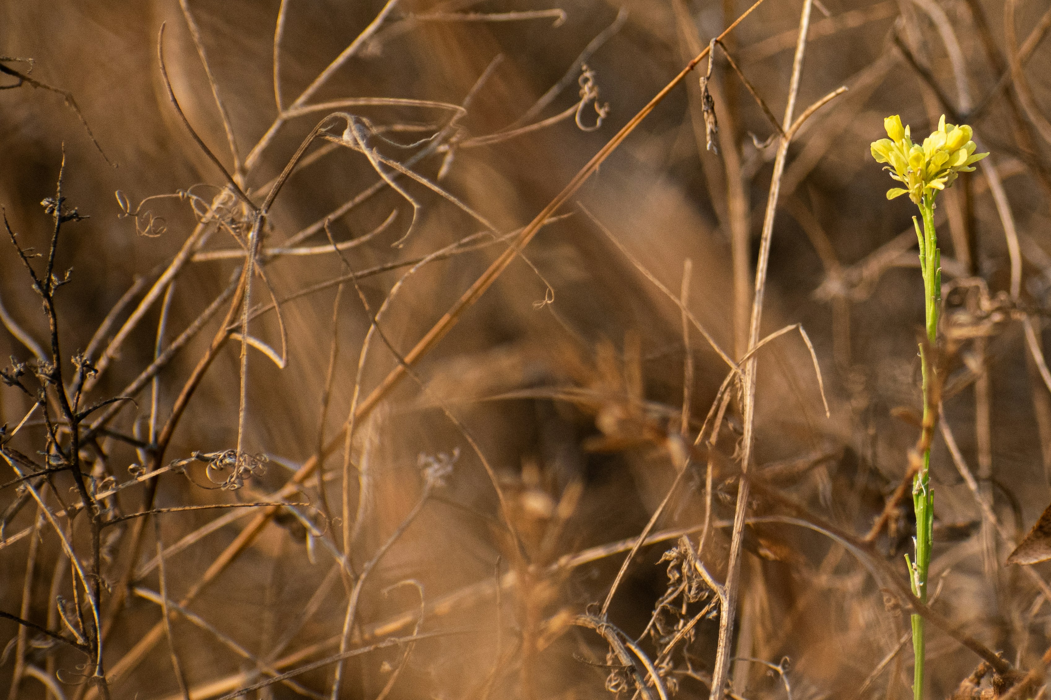 Photo by elisastonephotography