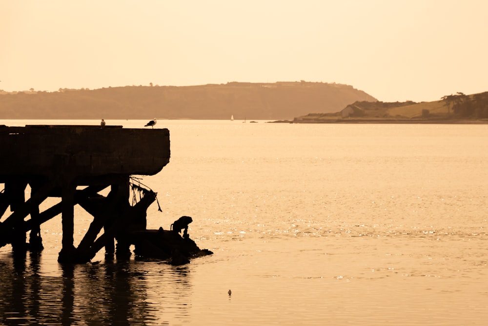 silhouette of 2 people sitting on wooden dock during daytime